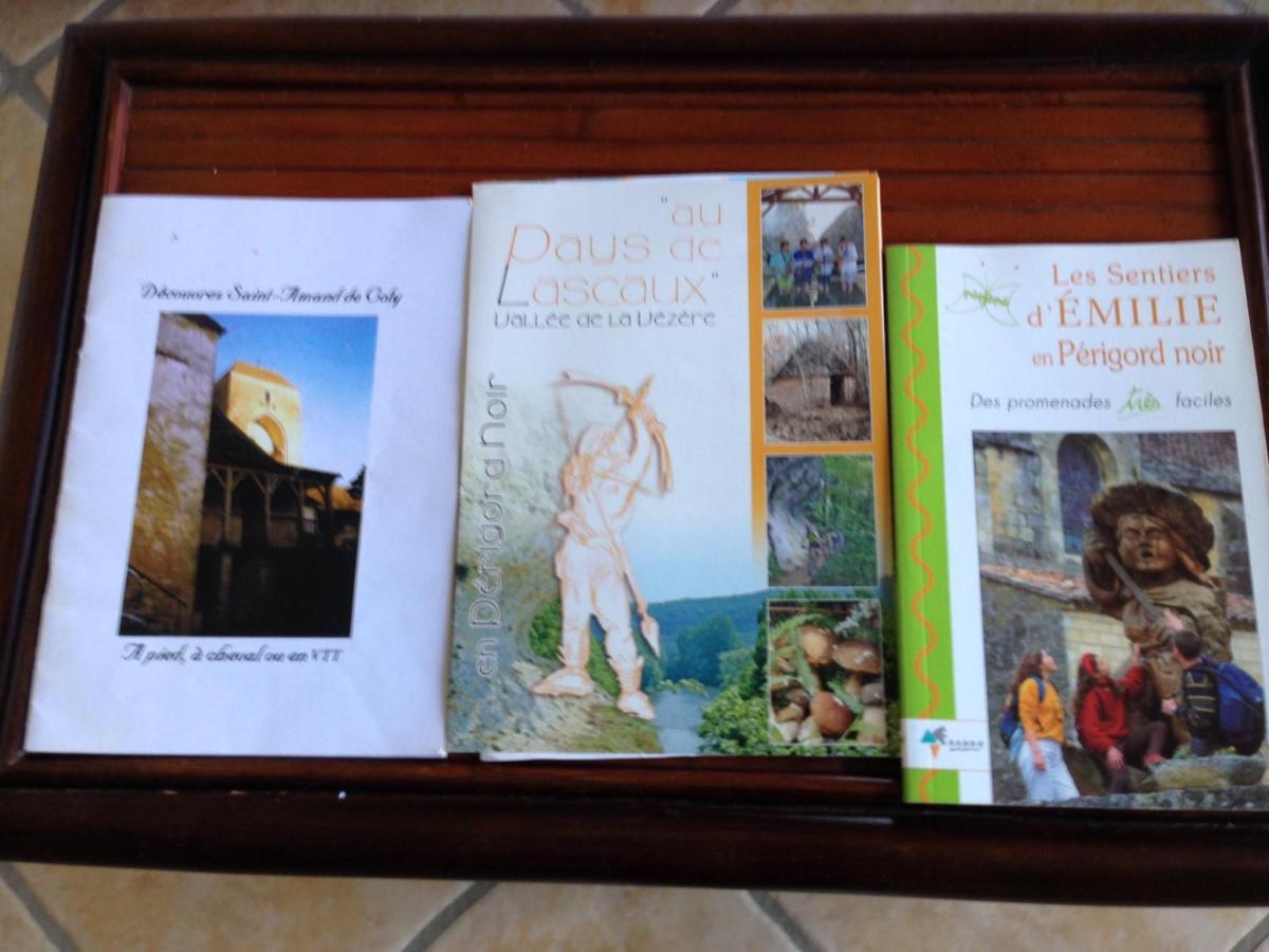Saint-Amand-de-Coly Chambre D'Hotes Lasserre מראה חיצוני תמונה